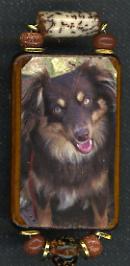 AUSSIE: Down & attentive art pin