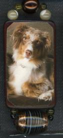 AUSSIE: Tricolor beauty art pin