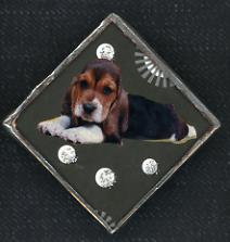 BASSET/BEAGLE: Puppy love pewter pin